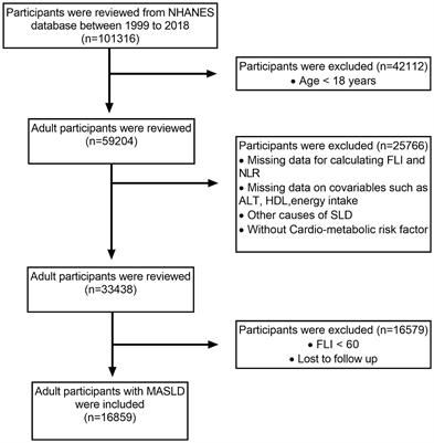 Association of neutrophil-to-lymphocyte ratio and risk of all-cause and cardiovascular mortality in adults with metabolic dysfunction-associated steatotic liver disease: a population-based cohort study